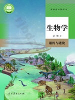 人教版高一生物必修2 遗传与进化